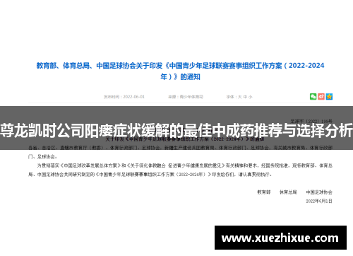 尊龙凯时公司阳瘘症状缓解的最佳中成药推荐与选择分析