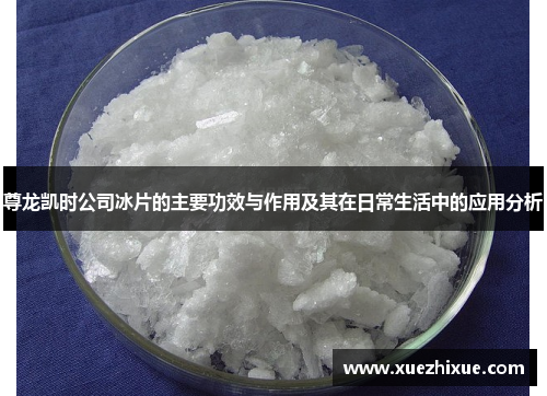 尊龙凯时公司冰片的主要功效与作用及其在日常生活中的应用分析