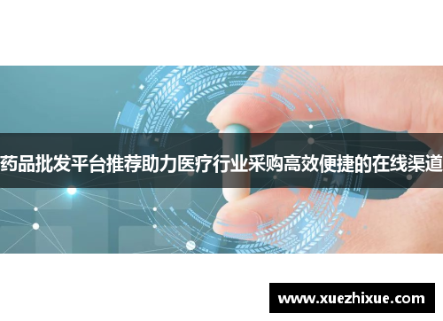 药品批发平台推荐助力医疗行业采购高效便捷的在线渠道